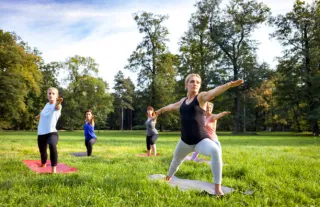 Yoga Lawn